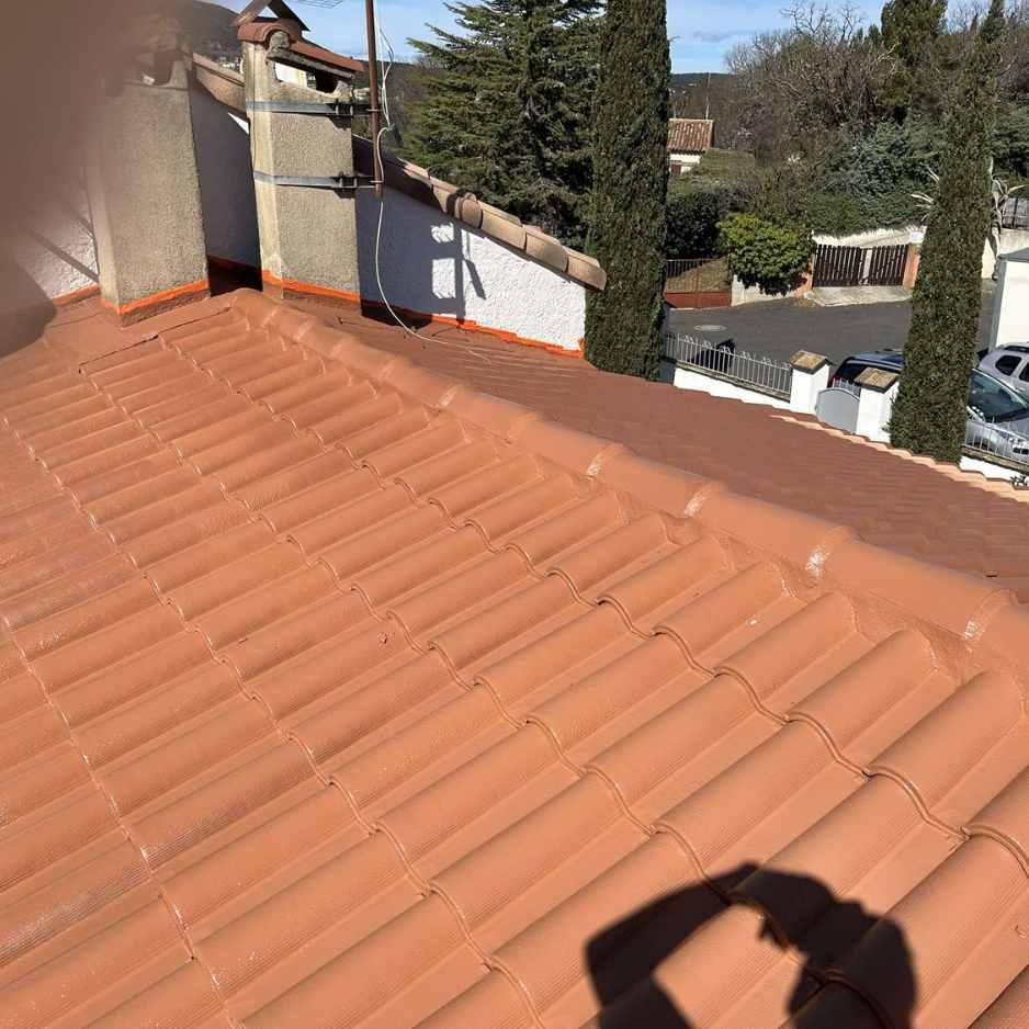 remplacement de tuiles sur un toit a narbonne