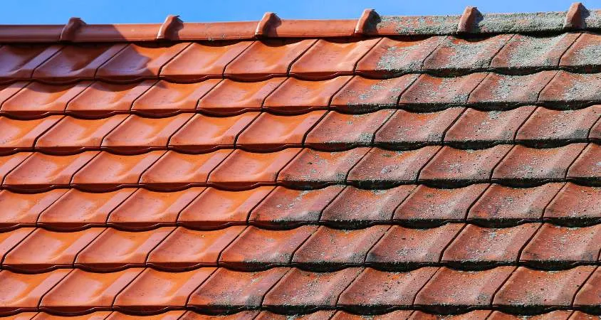 Démoussage de toiture avant et après