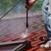 démoussage de couverture à sauvian