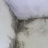 infiltration d'eau dans la toiture