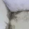 fuite de toiture et infiltration d'eau